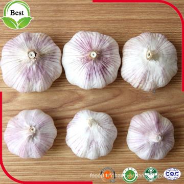 Bon Price Normal White Garlic 4.5-5.0 5.0-5.5 5.5-6.0cm
